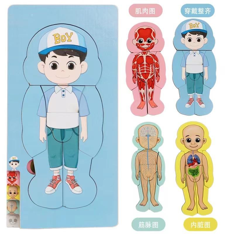 Children's Early Education Characters Body Organ Structure Cognitive Puzzle Brain Multi-Layer Development Wooden Toys