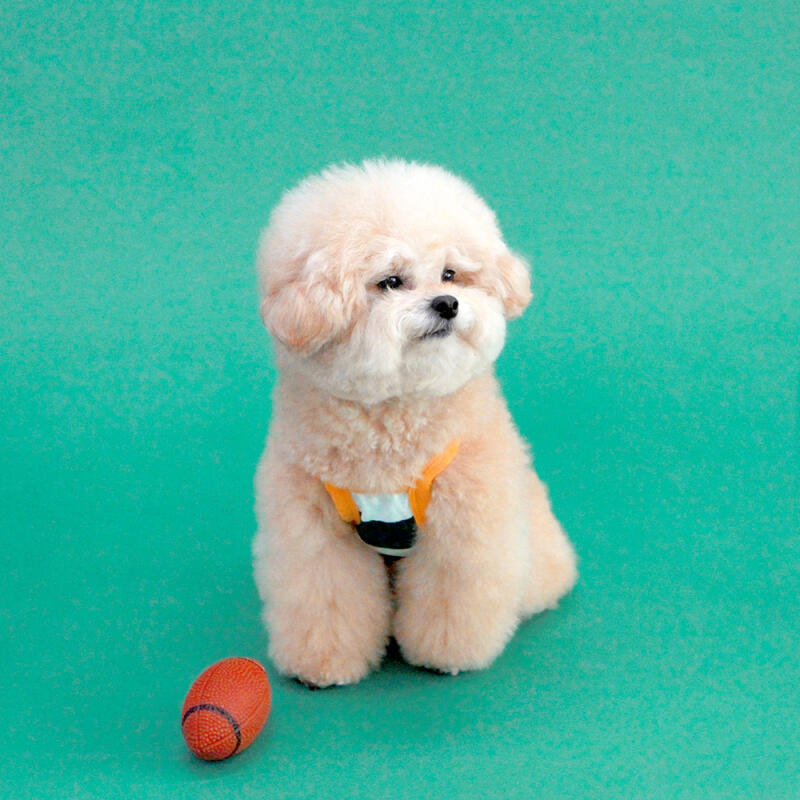 KINI STRIPE CROP TOP-GREEN (Crop Top) M