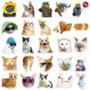 50PCS Cute Cartoon Cat Stickers for Phone and Cup Decoration