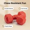Squeaky Dog Ball Puppy Teething Toy Dog Chew Toy Ball with Convex Surface Interactive Toy for Dogs Outdoor Training Teeth Cleaning