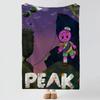 brand P-PEAK-k Throw Thick Comfort Flannel Quilt, Multi-scene Use Indoor Outdoor Daily Nap