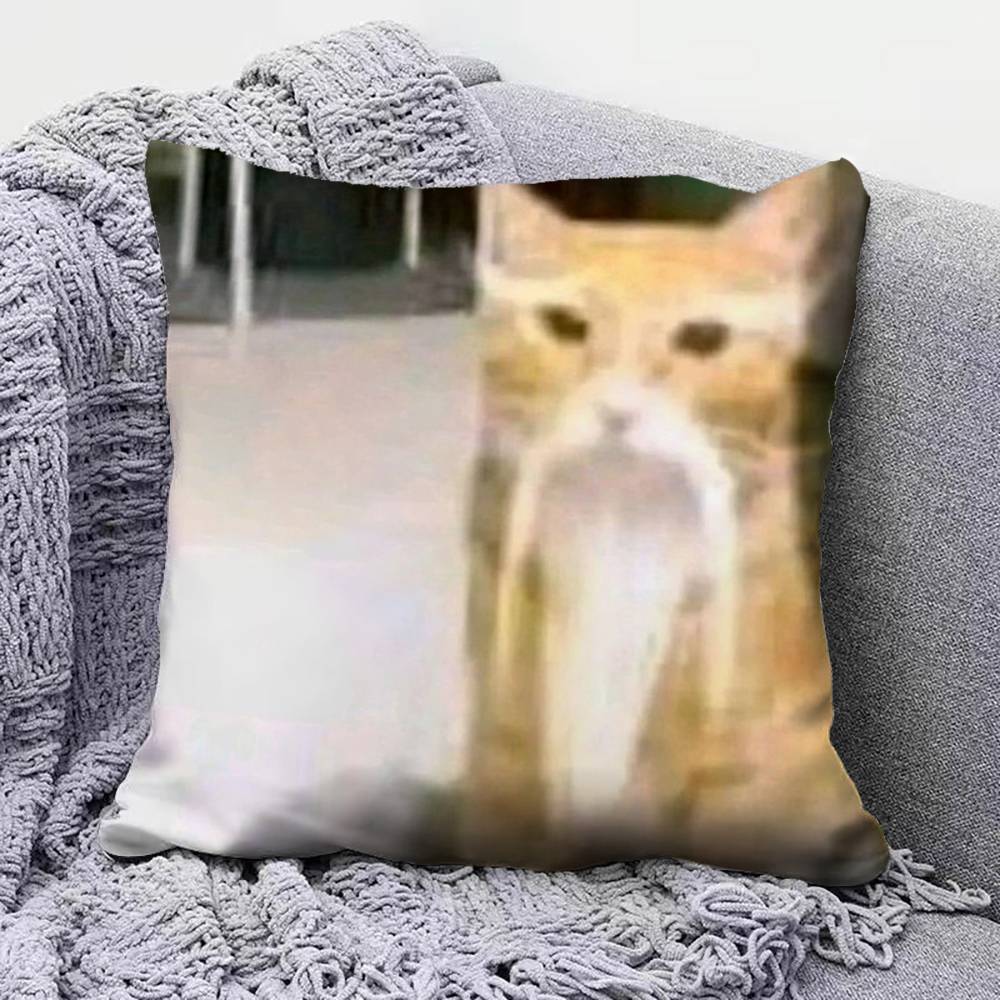 Funny Cat MMeMe Pillow Covers Home Sofa Cushion Covers and Aecorative Custom