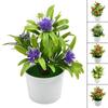 Artificial Potted Simulation Fake Yellow Red Orange Pink Purple Plants Flower With Pot Home Garden Table Decoration Room Ornamen