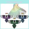 Vibrant Childrens Eagle Wings Cloak Headband For Halloween Festive Celebrations