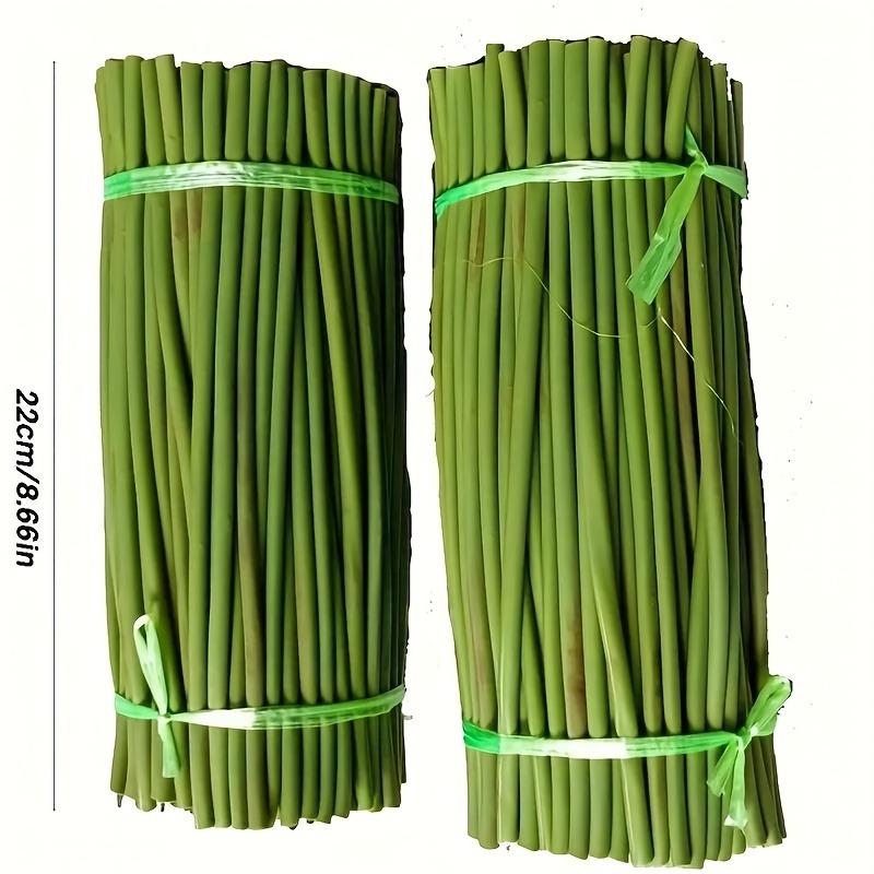 100 Artificial Flower Stems DIY Handicrafts Plastic Rod with Metal Wire Core for Floral Lotus Sunflower Water Lily Support Tube