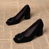 New Style Pointed-toe Thick-soled Shoes, Spring/autumn High Heels, Women's Shoes