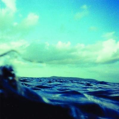CDGLASS - At Swim Two Birds  PLNT10132 Plant Music 2010 Japonia Taniec & Elektronika Używany