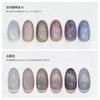 Coikaze Magnetic Gel Oval Cat Eye Gel Set Galaxy Color Gel Cat Eye Compatible 6-Color UV/LED (Rainbow)