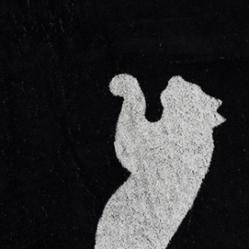 Puma Galleria Puma Team Sports Towel Towel Large Black