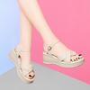 Women's new thick-soled mid-heel versatile fashion soft-soled lightweight summer Roman wedge heel with sandals