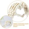 Artibetter Heart Hands Sculpture Gesture Heart Decoration Love Ornament Skeleton Hearts Sculpture Skull Couple Statue Heart Shape Figurine for for