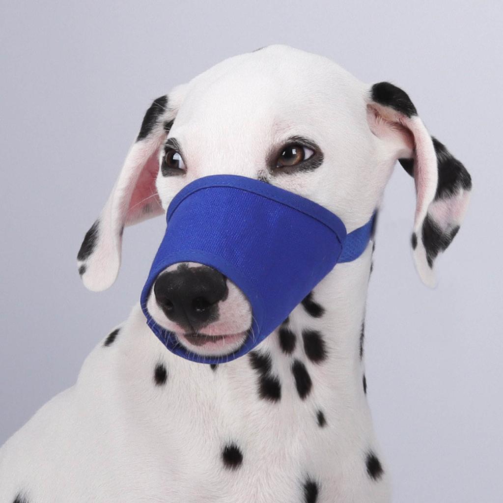 Adjustable Dog Muzzle for Biting Prevention ChewProof Breathable Pet Muzzle for Small To Large Dog Outdoor Activity