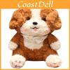 Peluche Carino Cane Border Collie con Decorazione Sciarpa per Regalo di Compleanno per Bambini