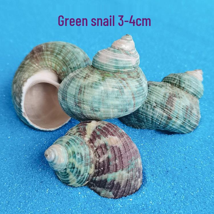 Красочные натуральные раковины и ракушки для ландшафтного дизайна аквариума своими руками