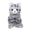 Sun Lemon Knee Cat Plush Toy Small Gray
