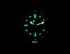 RATIO FreeDiver Professional 500M Sapphire Automatic 32BJ202A-BLK Men's Watch