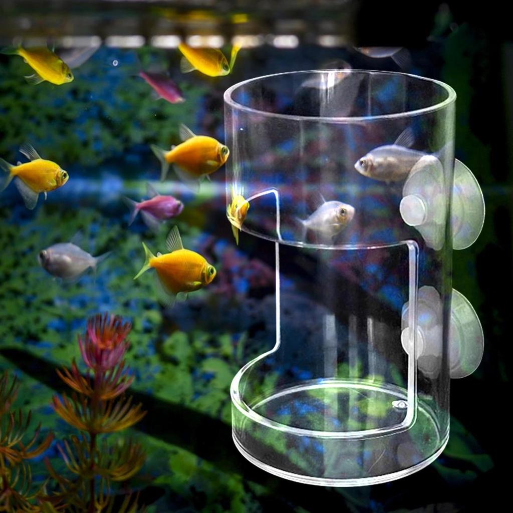 Akryl fiskefôringsrør for akvarium Clear Brine Shrimp Larve Worm