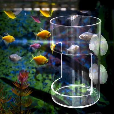 Acryl-Fischfutterröhrchen für Aquarium, klare Salzgarnelen-Larve, Wurm