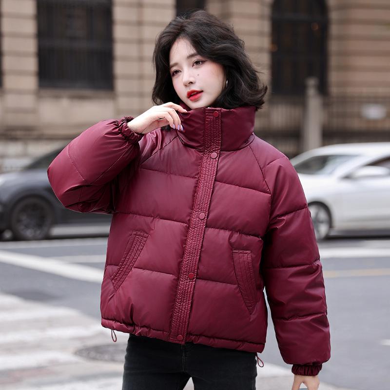 Women's Korean Style Thickened Down Jacket - 2024 Winter Fashion Short Stand-Up Collar Coat.