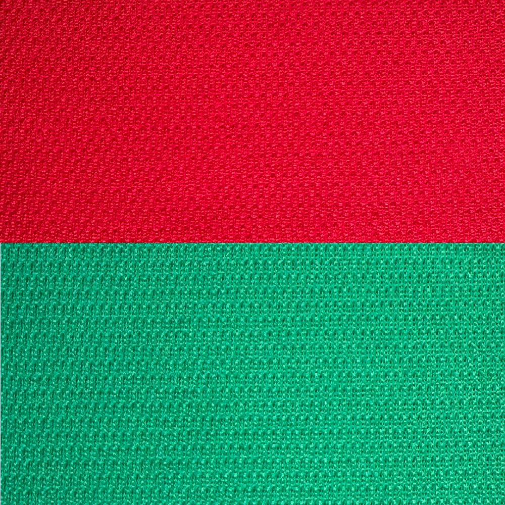 

Clever Speaker Jersey Cloth Saran AR 780mm x 450mm x 4 Set of 2 Net, Net, Type, Sheets, (AR-11 Red/AR-23 Green)