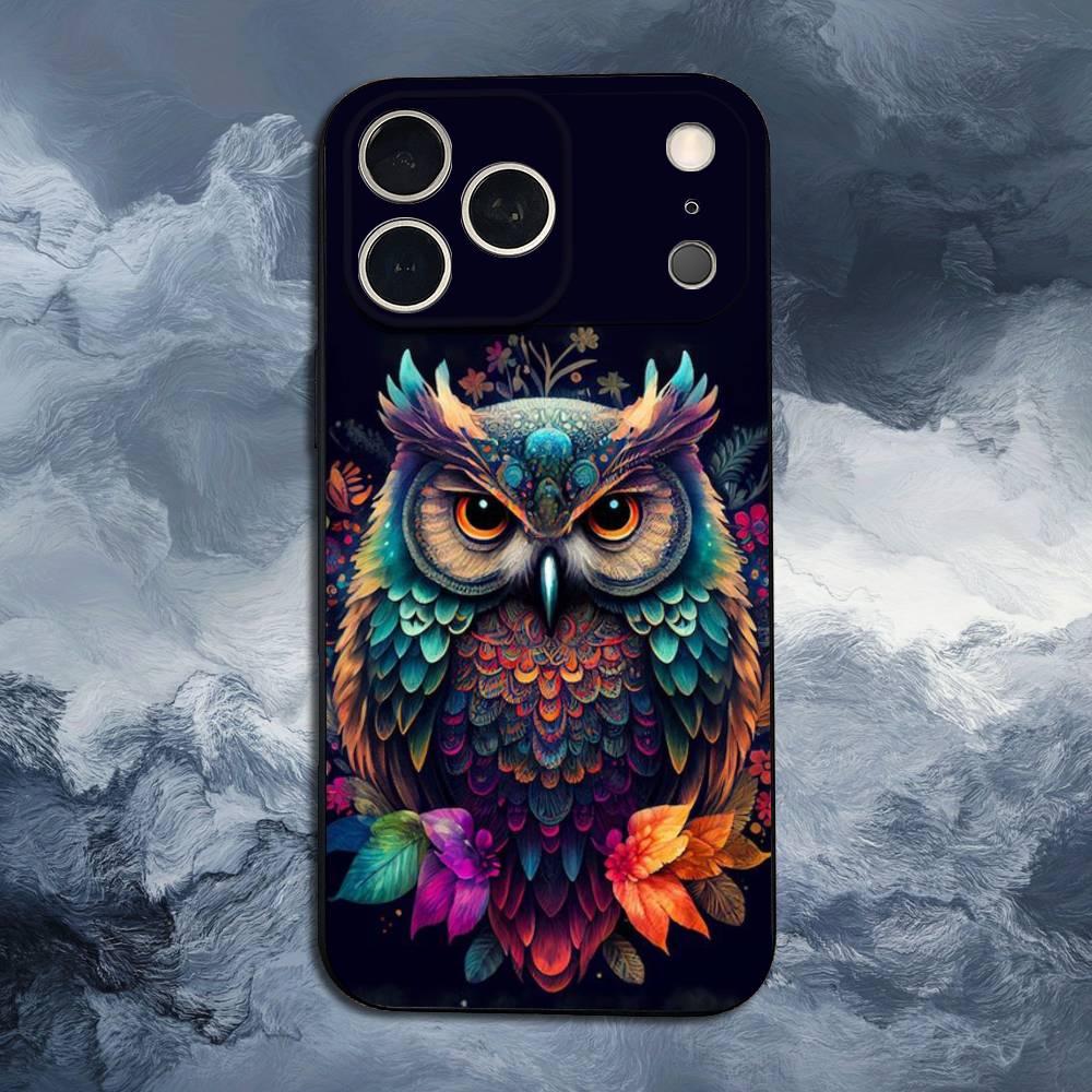 Cute C-Colorful Owl B-Bird For iPhone 12,14,13,15,8,7,16,11,17,X,Mini,Plus,Pro,XR,SE,XS,Max,Soft Silicone Black Case