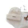 Korean Dopamine Simple Letter Knitted Hat Letter Label Men and Women's Same Wool Hat Women Thickened Warm