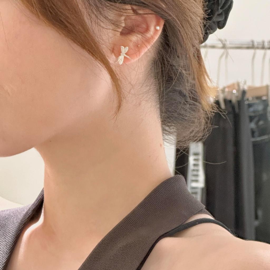 Inspiration Fresh Mini Dragonfly Stud Earrings Matte Texture High-end Artistic Style Brushed Earrings for Women Fine Jewelry