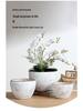 Nordic Style Extra-Large Ceramic Flower Pot for Indoor and Outdoor Use - Ideal for Money Tree & Pothos Creative Bonsai