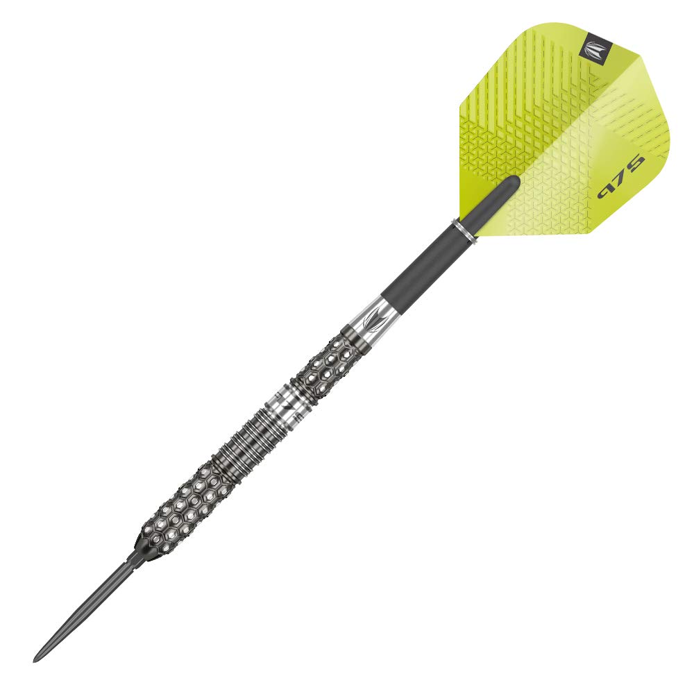 Target 975 02 Swiss Point 25g 190072