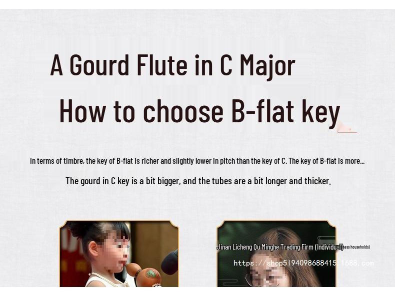 Beginner Hulusi Gourd Flute for Primary School Students - Ethnic B-flat and C Key Musical Instrument
