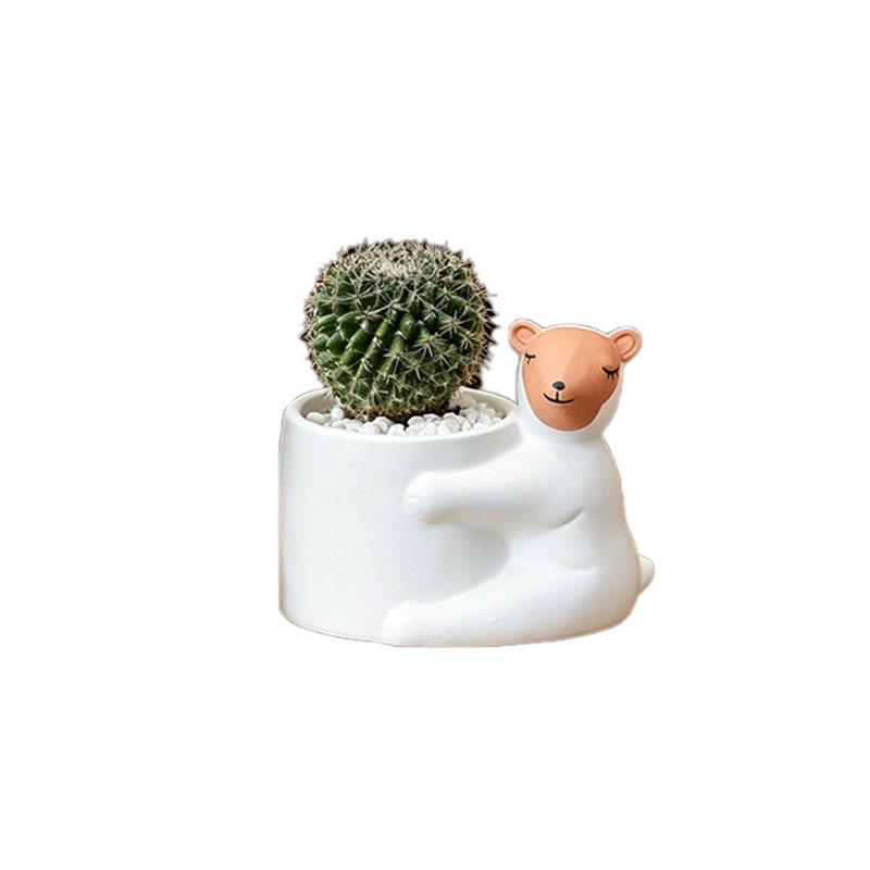 Cartoon Ceramic Planter Pot, Small Succulent Cactus Flowerpot, Cute Green Plant Desktop Decoration for Home