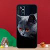 Beautiful Grey British Shorthair Cat Case For Samsung Galaxy A17 A06 A16 A56 A36 A54 A34 A14 A52 A32 A13 A23 A33 A53 A15 A35 A55