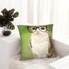 Dekorativní povlak na polštář Meowl Kočka Sova Meme Doplňky Postel Povlak na polštář Kryt Se zipem Více velikostí
