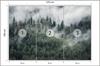 Photomural Forest In The Morning Mist Smooth Vinyl 270x180