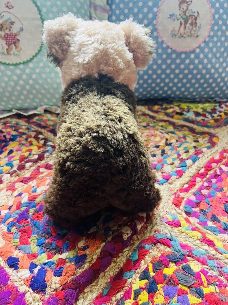 [USED] STEIFF/Vintage/Bear/Teddy Bear