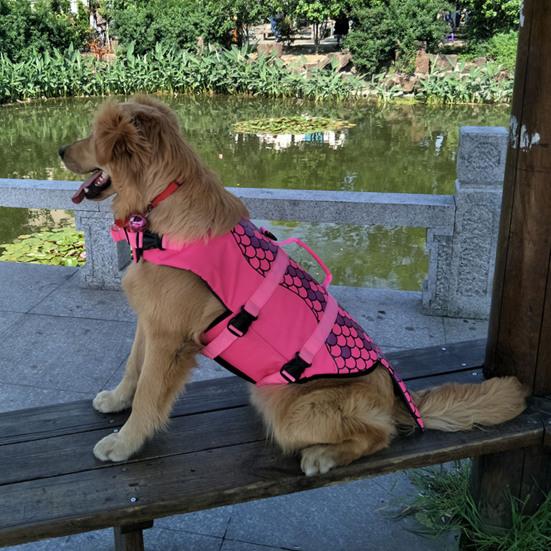 Pet Swimsuit with Easy Open Close Touch Fasteners High Buoyancy Dog Life Jacket