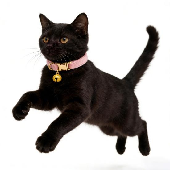 קולר חתול מתכוונן קולר חיות מחמד רך עם פעמון נשלף קולר חיות מחמד בצבע אחיד לכלבים קטנים חתולים גורים טיולים בחוץ בטיחות