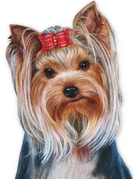 Diamentowe Malowanie Pies Zwierzę Diament Haft Yorkshire Terrier Mozaika Dekoracja Malowanie Diamentami