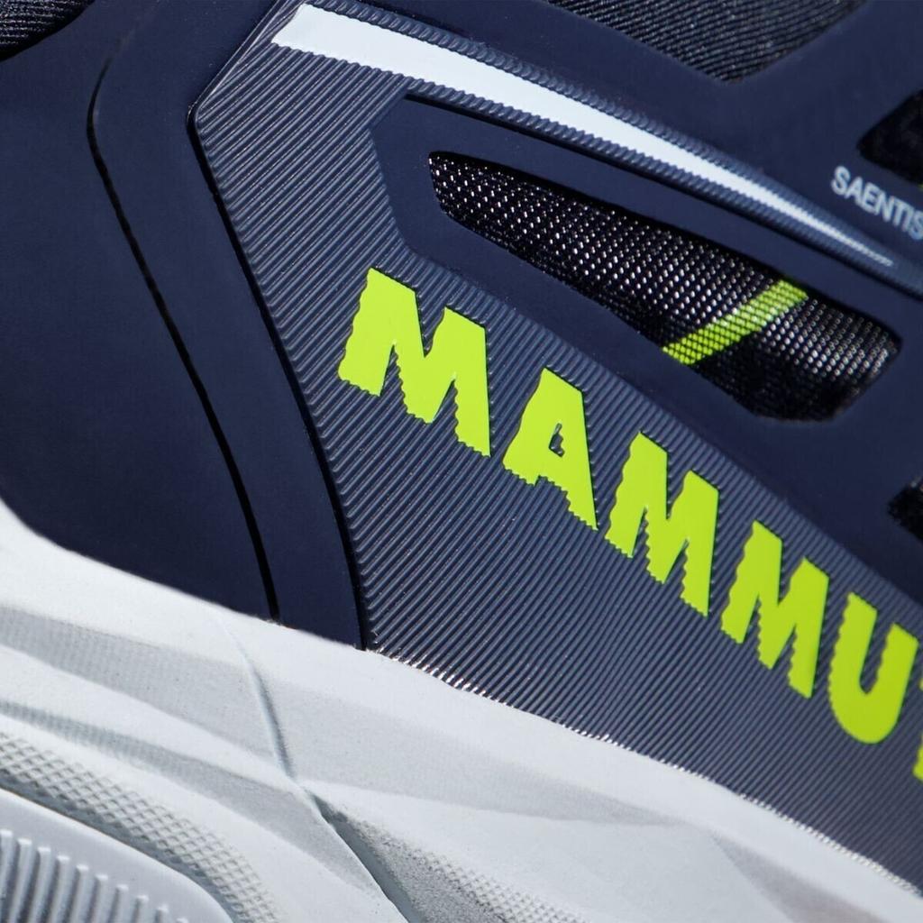 Hiking Shoes Mammut Saentis Low GTX Blue