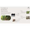 Indonesian A-Grade Vanilla Beans 3-Pack for Baking & Homemade Extracts