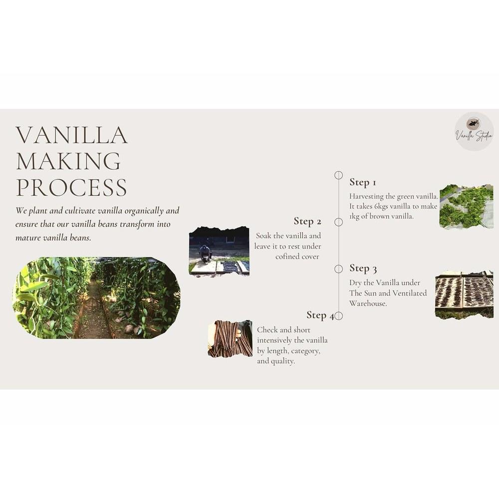 Indonesian A-Grade Vanilla Beans 3-Pack for Baking & Homemade Extracts