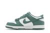 Nike Dunk Low Bicoastal (GS)