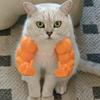 Hulk Cat Muscle Arm Middle Finger Decoration