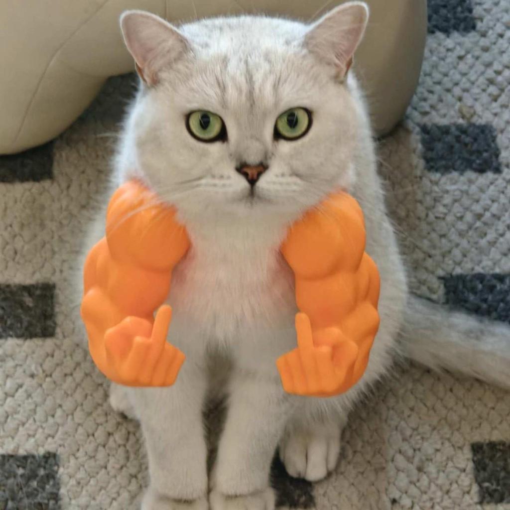 Hulk Cat Muscle Arm Middle Finger Decoration