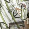 Bamboo Green White Chinese Style Plant Tulle Sheer Curtains for Living Room Bedroom Kitchen Decoration Voile Organza Curtains