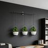 1 Set Hanging Flower Mounted Plant Hanger Hanging Pots Wall Planter Set Includes Metal