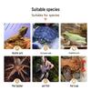 Reptile Resin Cave: Climbing & Sunning Platform for Geckos, Lizards, Snakes, Turtles, Fish, Shrimp. Perfect for Hiding & Landscaping.
