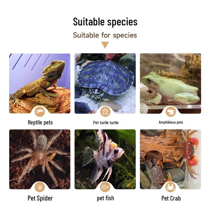 Reptile Resin Cave: Climbing & Sunning Platform for Geckos, Lizards, Snakes, Turtles, Fish, Shrimp. Perfect for Hiding & Landscaping.