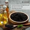 Coolkin Extracto de Aceite de Semilla de Comino Negro, Puro Virgen Prensado en Frío, Potencia la Inmunidad y Promueve la Digestión
