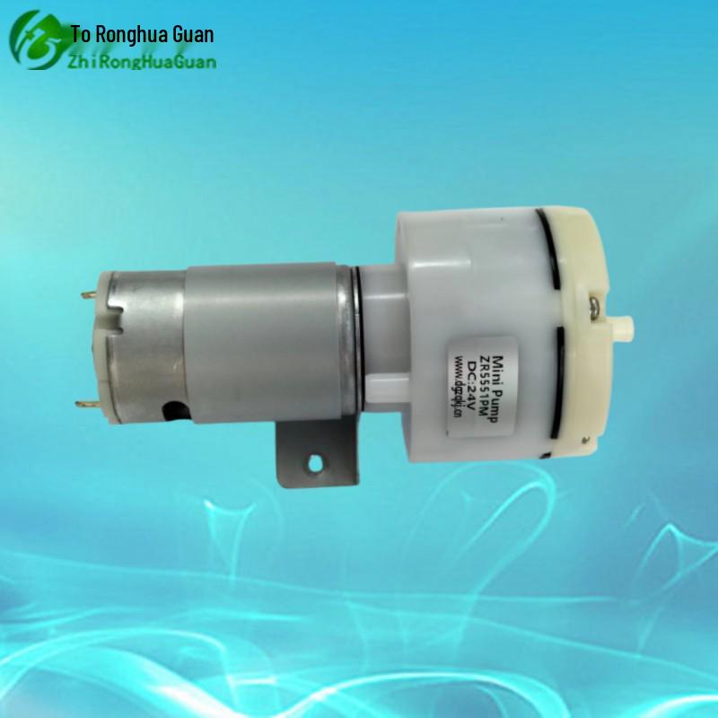 High Flow 12V/24V Mini Negative Pressure and Inflating Air Pump